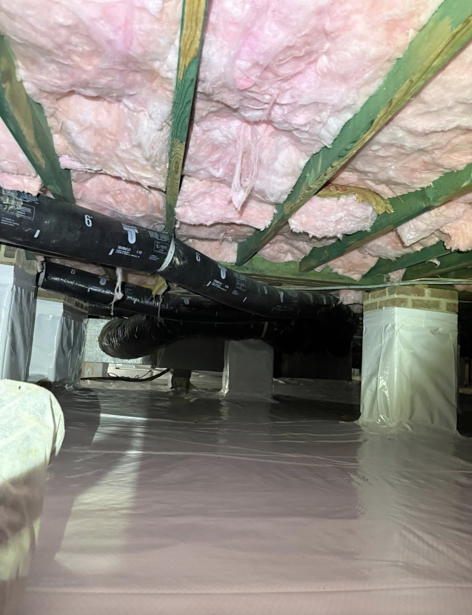 Chemical Mold Treatment